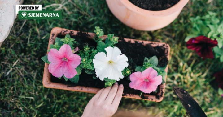 
Posuda nije samo ukras, važna je za pravilan rast biljaka