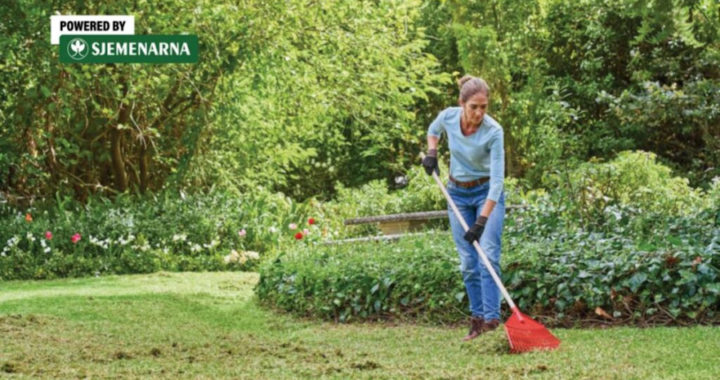 Ako želite gust i zelen travnjak – ovo su prvi proljetni koraci