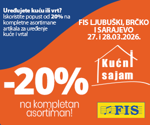 FIS 300*250